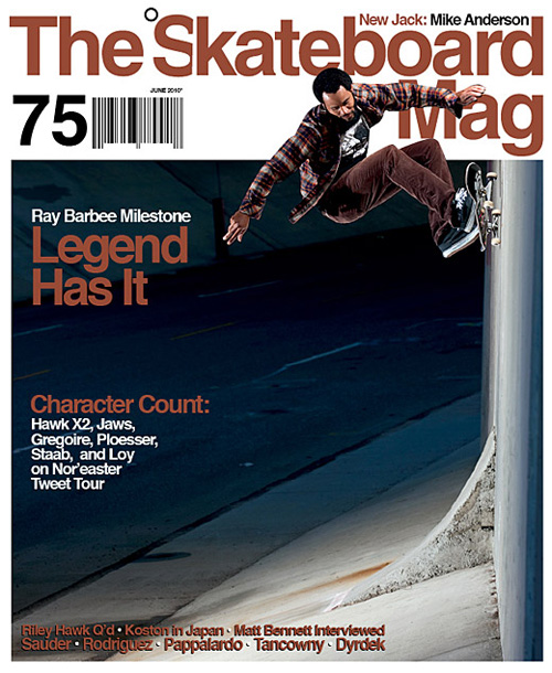 Rob brink ray barbee the skateboard mag