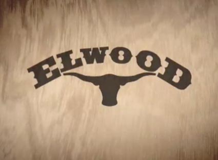 Elwood-nozboen-skate-skateboard