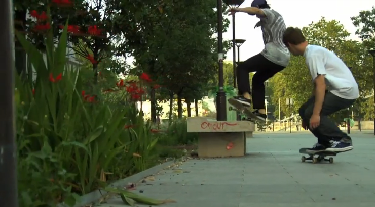 Dome-austerlitz-skate-skateboard